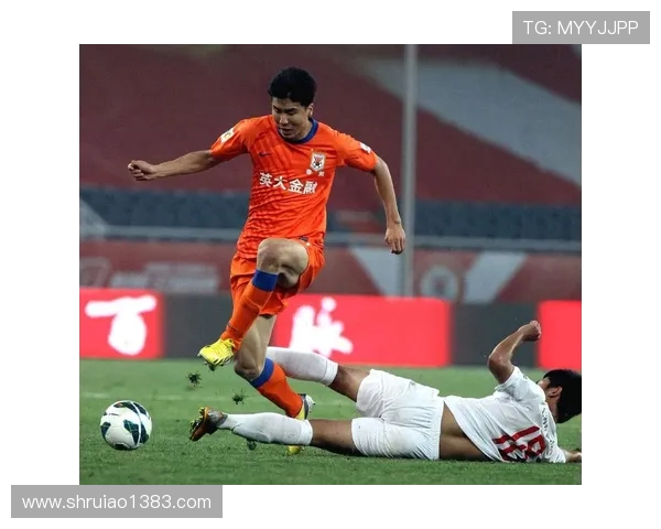 2017年鲁能与国安激战回顾球场上的激情与荣耀交织的瞬间