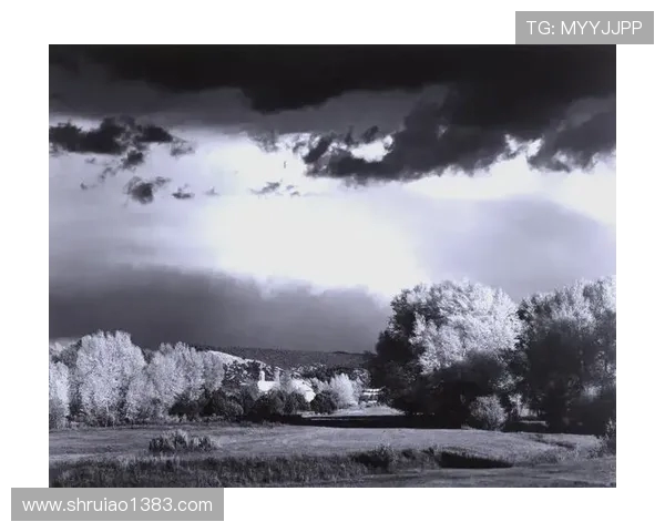亚当斯：探索科学与人文交汇的智慧之旅与未来展望