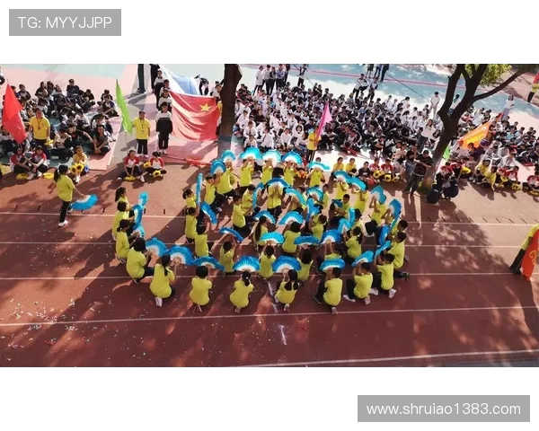 专访杨秀英：探寻排球背后的成功秘诀与奋斗历程