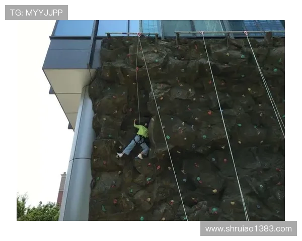 成都攀岩队意识表现的数据分析与提升策略探讨